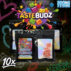 TasteBudz 10 Pack THC Gummies with full spectrum extract, 500mg packs, bold flavour, and strong edible value.