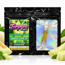 Honeydew