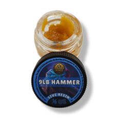9LB Hammer