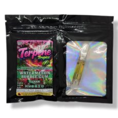 Watermelon Bubble Gum