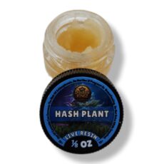 Hash Plant