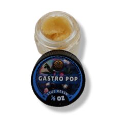 Gastro Pop
