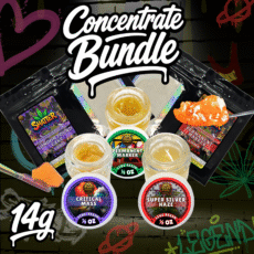 Distillate Kingz 14g concentrate bundle with live resin jars, shatter packs, isolate, dab tools, and cannabis extracts